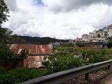 Bán Đất Đường Triệu Việt Vương, Phường 4, Đà Lạt 336Mv Mã 19109
