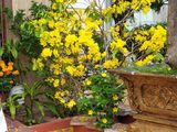 Bán Rẻ Nhà 2 Mặt Tiền 8,25×22=180M2 Trung Tâm Tp Cà Mau (0918669254)