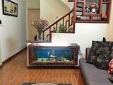 Cần Tiền: Bán Gấp Nhà Thanh Xuân, Giá Chỉ 2.6 Tỷ, Lh: 0942774386