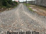 Bán 1000M Đất Cách Đường Phạm Thái Bường 80M,giao Với Đường Cát Lái.