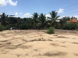Cho Thuê Mặt Bằng Mặt Tiền Thế Lữ 1000M2, Xã Tân Nhựt, H. Bình Chánh, Tp.Hcm