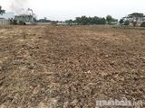 Cần Tiền Bán Gấp Đất Ngay Mặt Tiền 6A, Vĩnh Lộc B, Bình Chánh, Sổ Riêng 900Tr/nền, Hiếu: 0902680537