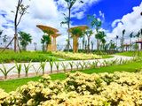 Đất Nền Gía Rẻ Ngay Trung Tâm Hành Chính