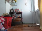 Bán Nhà Chưa Qua Đầu Tư , Đường Nguyễn Bình , Tt Nhà Bè , Giá Rẻ