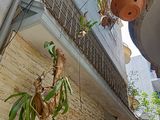 Bán Nhà Bùi Xương Trạch, Quận Thanh Xuân, 55M2, Mặt Tiền 4M, Giá Chỉ 3.4 Tỷ, Lh: 0986383826