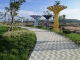 Đất Nền Giá Rẻ Khu Vực Bình Dương