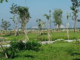 Đất Nền Giá Rẻ Khu Vực Bình Dương