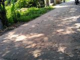 Bán Gấp Miếng Đất Vườn, diện tích 618m2. Giá 400 Triệu