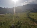Đất Thổ Cư Ven Biển Cà Ná, Ninh Thuận