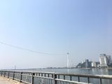 Đầu Tư Đất Nền Ngay Gần Trung Tâm Thành Phố Hạ Long, Giá Chỉ Từ 13Tr/m2