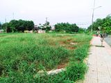 Cần Bán Gấp Đất Mặt Tiền Đường Tập Đoàn 7 Phước Bình Giá Rẻ!
