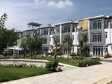 Chỉ Từ 1,1 Tỷ Có Ngay Căn Nhà 1 Trệt ,2 Lầu Mặt Tiền Đường Nguyễn Văn Bứa Nối Dài.Lh 0962.975.350.