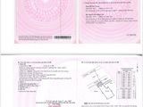 Bán Đất Nền Sổ Đỏ Mặt tiền Nguyễn Văn Quỳ, Quận 7, Giá Chỉ 65tr/m2, Chủ Đầu Tư