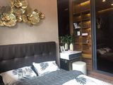 Hỗ Trợ Xem Nhà Mẫu Dự Án Paris Hoàng Kim Q2 . Lh 0903339316
