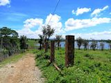 Bán 1 Hecta Hẻm Ngô Quyền View Cực Đẹp
