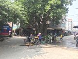 Địa Chủ Bán Đất Đông Anh Giá Đầu Tư
