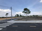 Sở Hữu Đất Siêu Đẹp Nước Mía Vườn Cao, Củ Chi, Diện tích 80 m2, Giá 560 Triệu