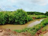 Gấp! Cần Bán 5 Lô Đất Gần Đường Phước Bình, Giáp Sân Bay Long Thành, Đồng Nai.