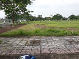 Bán Gấp 125M2 Ở Bà Triệu, Hóc Môn, Sổ Hồng Riêng, Giá: 900Tr , Liên hệ:0327989728