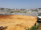 Bán Đất Đường Ngô Tất Tố, Phường 8, Đà Lạt 326.26Mv Mã 19126