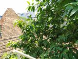 Cho Thuê Căn Hộ Phố Hàng Bún, An Sinh, Ô Tô Đỗ Cổng, Đủ Tiện Nghi, 6.5 Triệu/th. Lh 0917420066