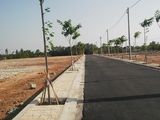 Chỉ Với 550Triệu Bạn Đã Có 1 Khoản Đầu Tư Đảm Bảo Lãi Chỉ Sau 1 Năm ? 100M2 Tỉnh Lộ 8 Sổ Hồng Riêng