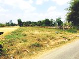 Kẹt Tiền Bán Lô Đất Thị Trấn Củ Chi Dt 421M2 Công Nhận 350M.giá Bán 3.5 Triệu/m2.
