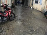 Bán Nhà Đất Phố Kim Giang, Diện tích 55 m2, Mặt Tiền 3.3 m, Giá 4 Tỷ 45.