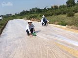 Chuyển Nhượng Lô Đất Đẹp Tại Khu Biệt Thự Phoneix - Anh Dũng 5 - Dương Kinh - Hải Phòng