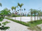 Hot Hot Đất Khu Dân Cư Đức Phát 3 Chỉ 650Tr Đầu Tư Sinh Lời Cao