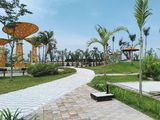 Hot Hot Đất Khu Dân Cư Đức Phát 3 Chỉ 650Tr Đầu Tư Sinh Lời Cao