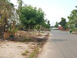 Bán Đất Gần Chơ Bên Cát 560 Triêu Sổ Hồng Riêng