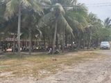 Dự Án Nghĩ Dưỡng Thanh Long Bay Giai Đoạn “ Lúa Non” – Hàm Thuận Nam, Bình Thuận