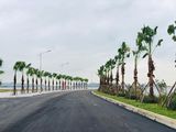 Bán Đất Biệt Thự Đảo Hoa Giá Đầu Tư, Hạ Long, Quảng Ninh