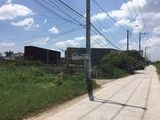 Cần Tiền Bán Gấp Lô Đất Đường Võ Văn Vân, Bình Chánh.1Tỷ3/130M2. Shr Hiếu:0902680537