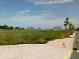 Bán Đất Nền Khu Vực Bến Cát - Bình Dương