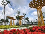 Định Cư Nên Gia Đình Sang 160M2 Đất Nền, Thổ Cư 100%