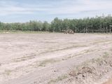 Hiện Tại Cần Bán 1000 m2 Đất Nằm Ngay Khu Công Nghiệp Minh Hưng