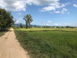 Cần Bán Bình Thuận