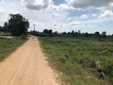 Cần Bán Bình Thuận