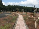 Đất Đầu Tư Liền Kề Trung Tâm Hành Chánh Thị Trấn Tân Phú, Huyện Đồng Phú, Bình Phước, Giá Đầu Tư 289Triệu