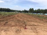 450Tr/12M2 Đất Long Thành, Nhận Nền Ngay, Chiết Khấu Vàng Liền Tay