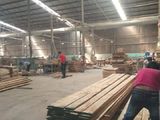 Cần Bán Gấp Nhà Xưởng Tại Tân Bình ,Thị Xã Dĩ An, Tổng Diện Tích: 5000M2, Giá: 72 Tỷ