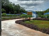 Bán Trại Heo Quy Mô 12.000 Heo Thịt, Diện Tích: 10 Hecta, Giấy Phép Đầy Đủ, Giá Bán: 43 Tỷ.