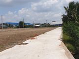 Đất Bình Chánh Giá Rẻ Nhất Khu Vực Chiết Khấu Lên Dến 40 Triệu
