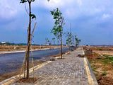 Mở Bán Lô Góc,ngay Chợ,công Viên Đẹp,giá Rẻ Đầu Tư,chỉ 485Tr, Mt Đường Đt 746