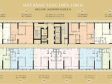 Bán Căn Hộ Chung Cư Anland Lake View Tố Hữu - Hà Đông - Tập Đoàn Nam Cường
