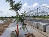 Đất Nền Giá Cực Tốt Sổ Hồng Riêng Thổ Cư