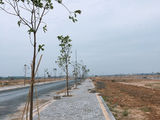 Tôi Chỉ Khoe Miếng Đất Đẹp Của Tôi Tí Thôi Nhé