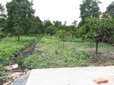 Bán Đất Mặt Tiền P. Hưng Định, Thuận An, Bình Dương, Tổng Diện Tích: 1479M2, Giá: 7,5 Triệu/m2